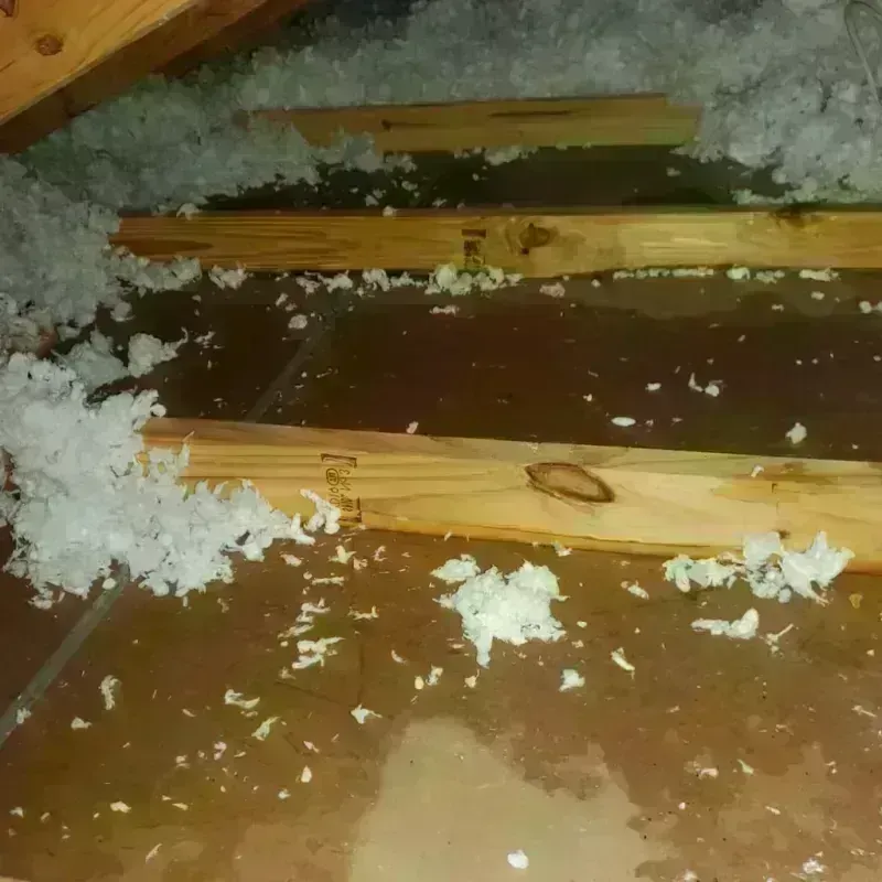 Attic Water Damage in Morro Bay, CA