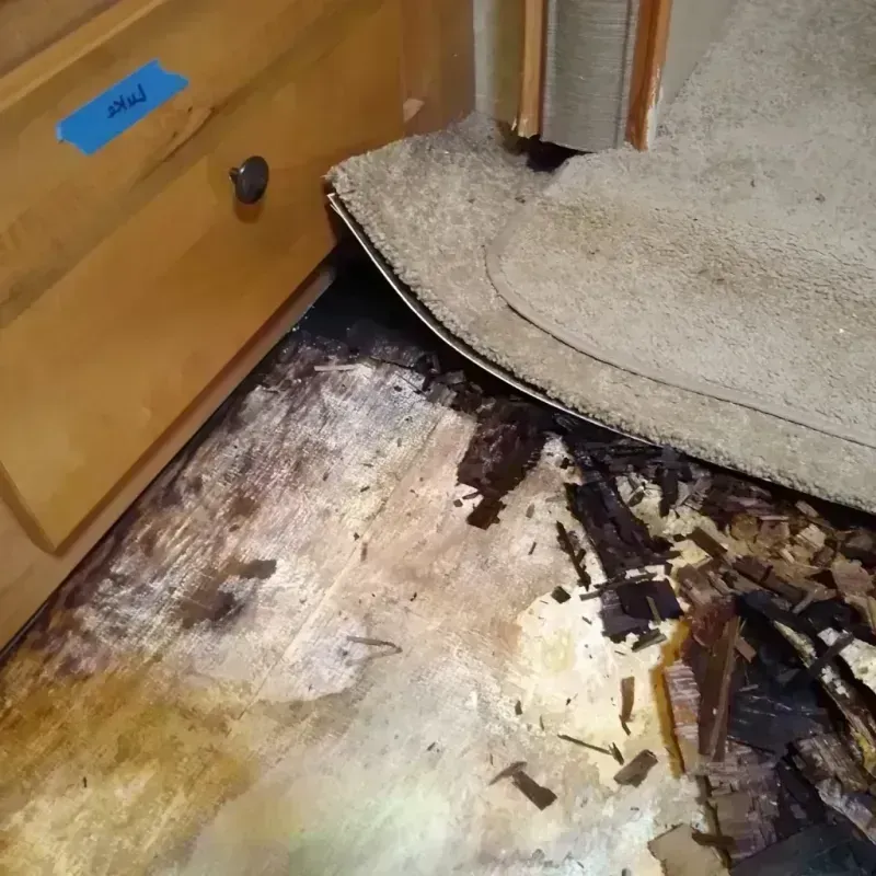 Best Wood Floor Water Damage Service in Morro Bay, CA